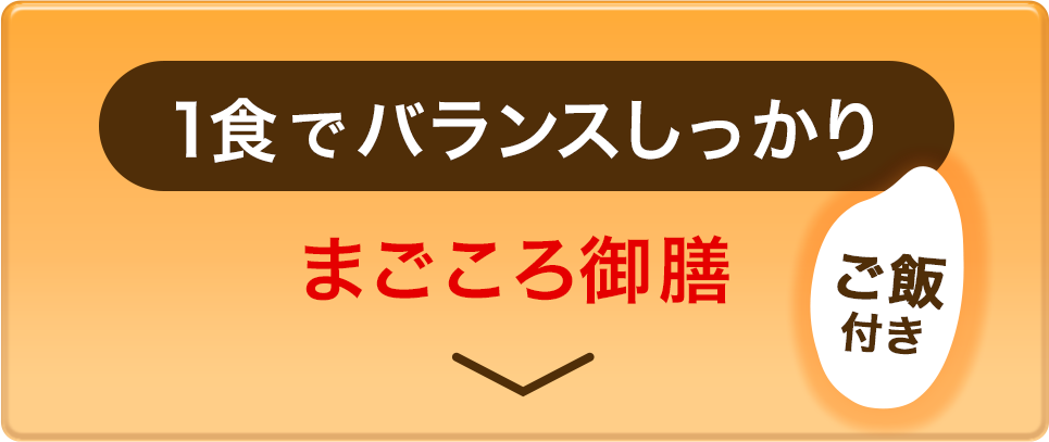 1食でバランスしっかり まごころ御膳 ごはん付き