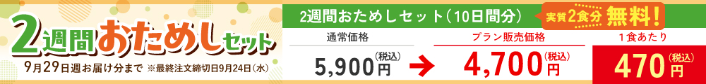 まごころ手鞠