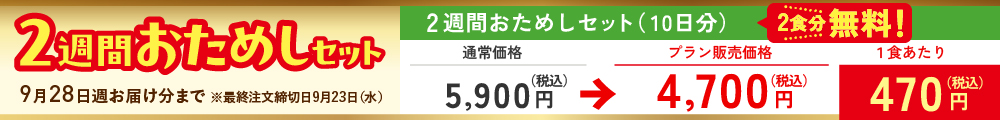 まごころ手鞠