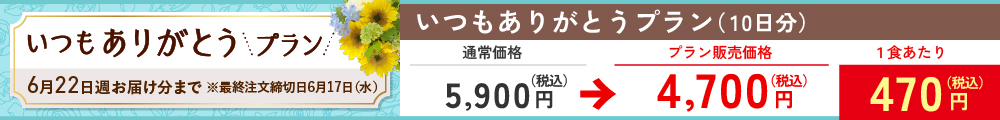 いつもありがとうプラン　まごころ手鞠