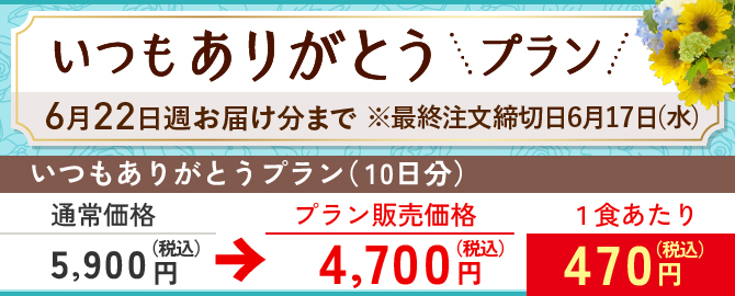 いつもありがとうプラン　まごころ手鞠