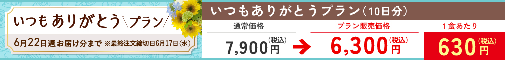 いつもありがとうプラン　まごころダブル
