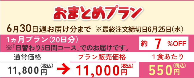 おまとめプラン まごころ手鞠1ヵ月