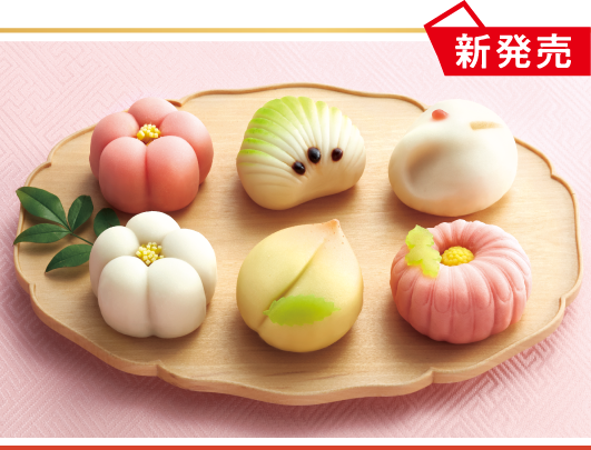 華やかな上生菓子
６種（練りきり）