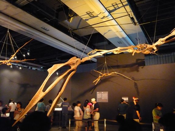 p1030303 ケツァルコアトルスの全身復元骨格