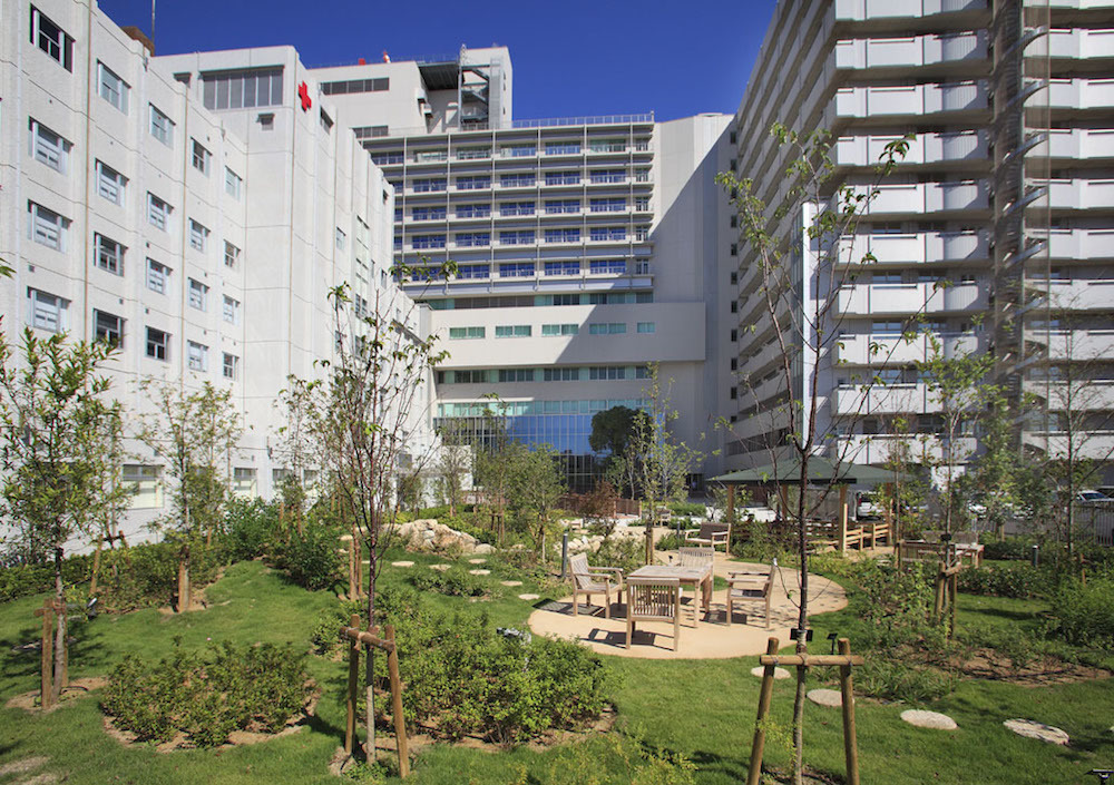 せせらぎの庭の様子