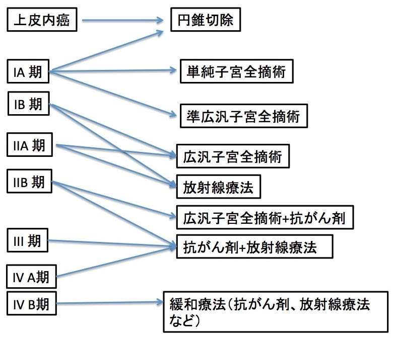 子宮頸がんと診断されたら―診断後の治療方針 | メディカルノート