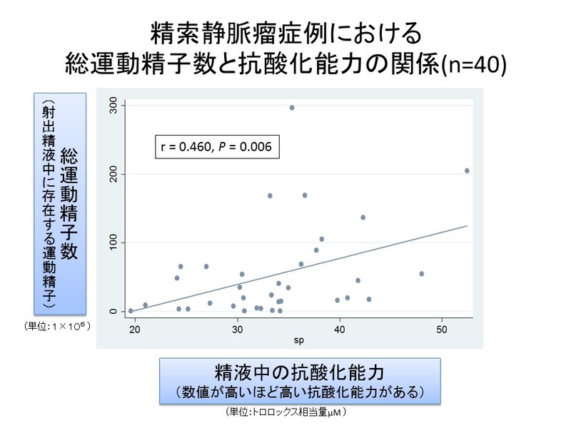 木村将貴先生ご提供