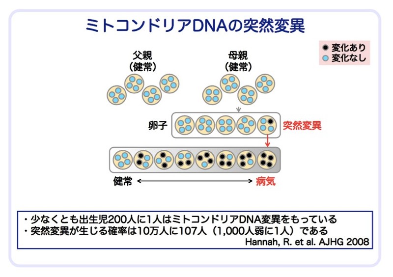 ../../../../Desktop/スクリーンショット%202016-08-04%2021.31.51.p