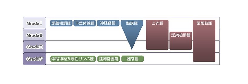 グレード4の悪性脳腫瘍　膠芽腫の治療