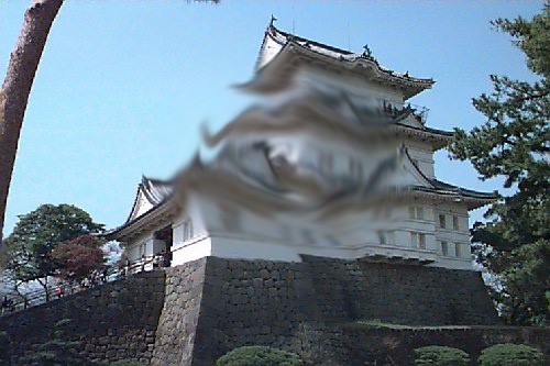 加齢黄斑変性物の見え方（先生提供）