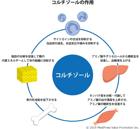 免疫系を抑制する薬