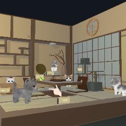 Cat Day