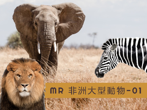 MR 非洲大型動物-0