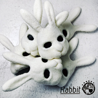 Rabbit「裸人」【CD+DVD】