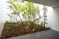 「Musicman不動産情報」soundproof 7