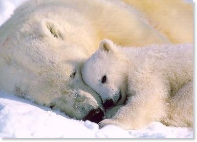 Translation missing: ja.board.image.alt.https: