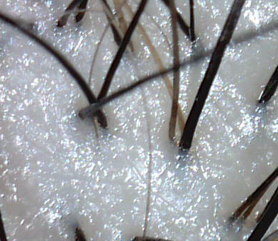 Translation missing: ja.board.image.alt.https: