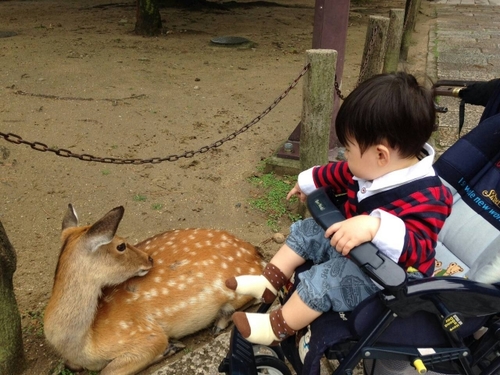 Translation missing: ja.board.image.alt.https: