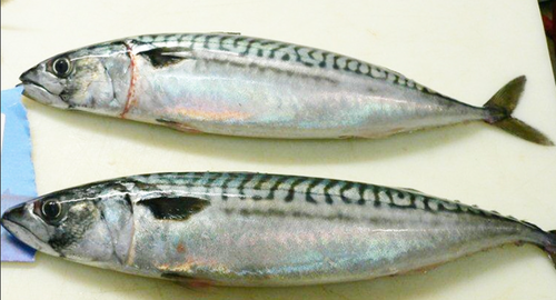 Translation missing: ja.board.image.alt.https: