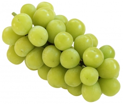 Translation missing: ja.board.image.alt.https: