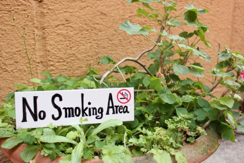 Translation missing: ja.board.image.alt.https: