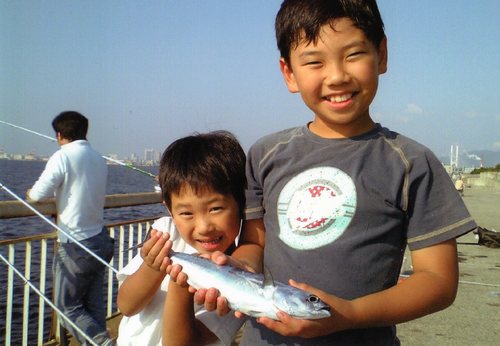 Translation missing: ja.board.image.alt.https: