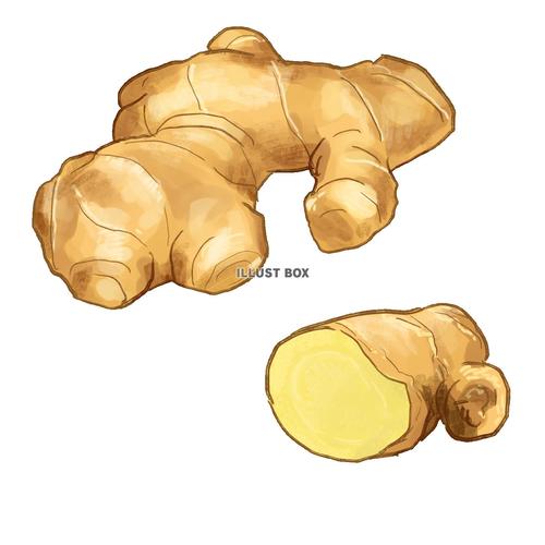 Translation missing: ja.board.image.alt.https: