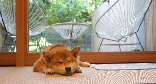 Translation missing: ja.board.image.alt.https: