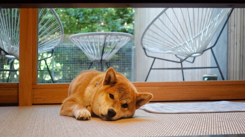 Translation missing: ja.board.image.alt.https: