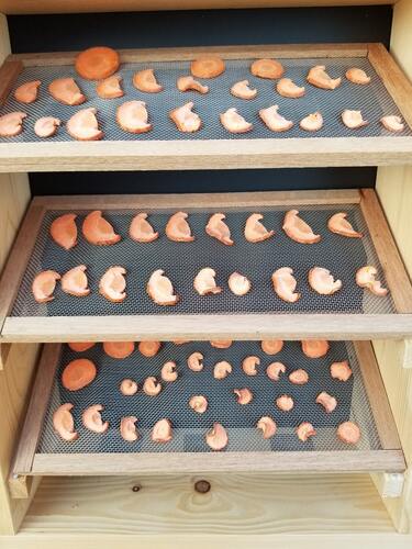 Translation missing: ja.board.image.alt.https: