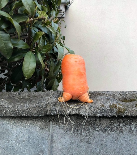 Translation missing: ja.board.image.alt.https: