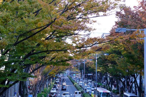 Translation missing: ja.board.image.alt.https: