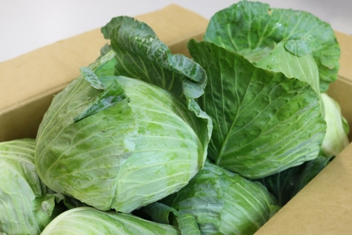 Translation missing: ja.board.image.alt.https: