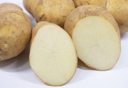 Translation missing: ja.board.image.alt.https: