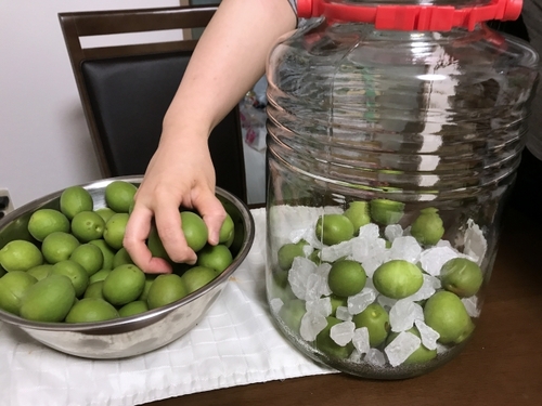 Translation missing: ja.board.image.alt.https: