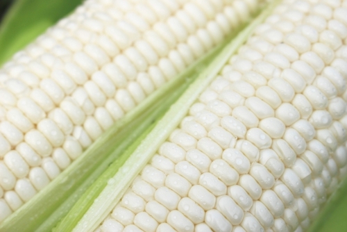 Translation missing: ja.board.image.alt.https: