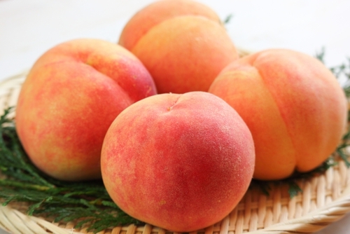 Translation missing: ja.board.image.alt.https: