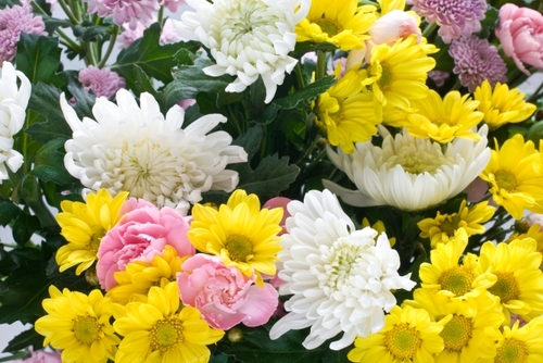 Translation missing: ja.board.image.alt.https: