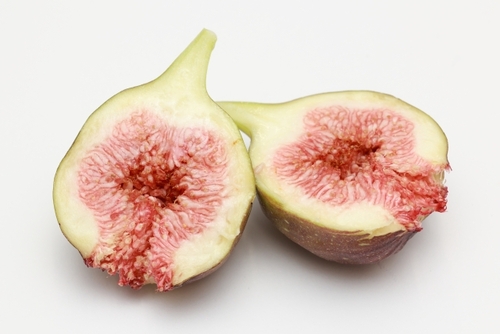 Translation missing: ja.board.image.alt.https: