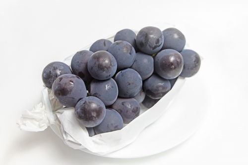 Translation missing: ja.board.image.alt.https: