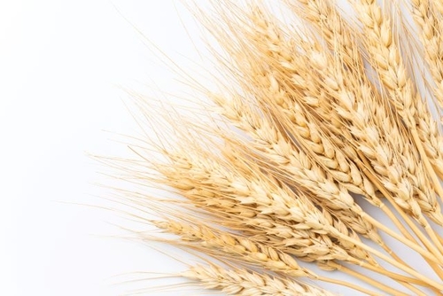 Translation missing: ja.board.image.alt.https: