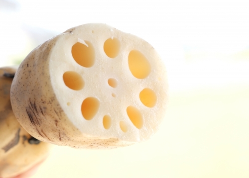 Translation missing: ja.board.image.alt.https: