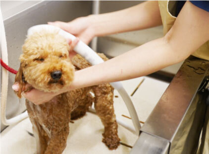 Translation missing: ja.board.image.alt.https: