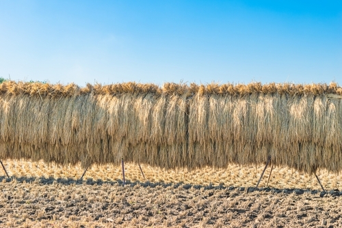 Translation missing: ja.board.image.alt.https: