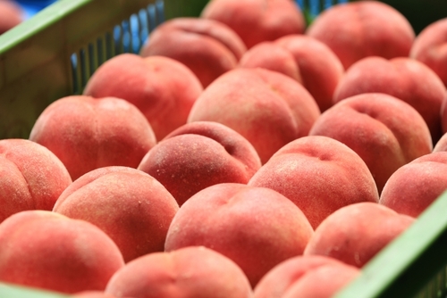 Translation missing: ja.board.image.alt.https: