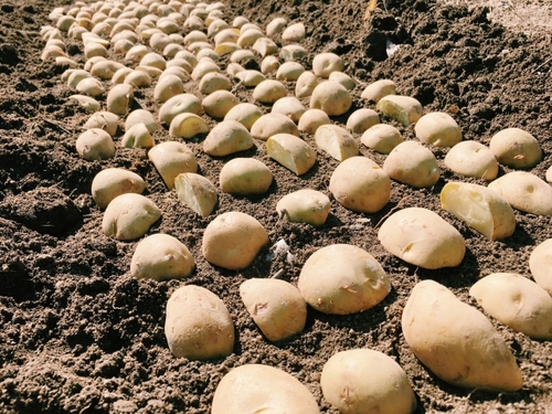 Translation missing: ja.board.image.alt.https: