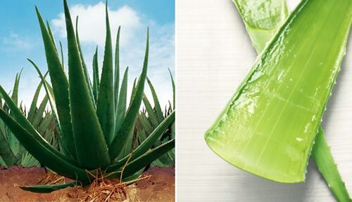 Translation missing: ja.board.image.alt.https: