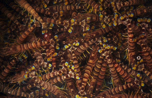 Translation missing: ja.board.image.alt.https: