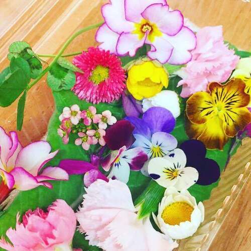 Translation missing: ja.board.image.alt.https: